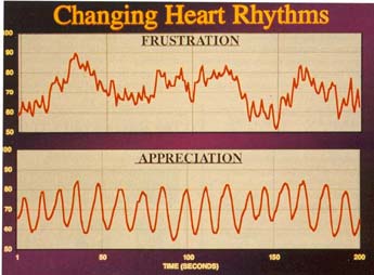 Changing Heart Rhythms