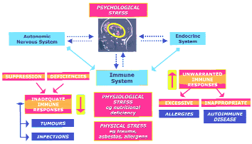 DIAGRAM 3: Stresses, altered immunity and possible clinical outcome.