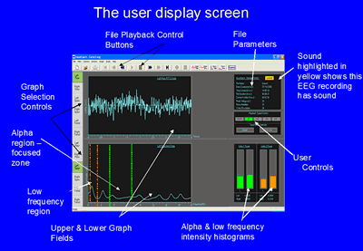 The user display screen
