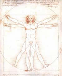 Leonardo Da Vinci studied of the proportions of the male human body as described in a treatise by the Ancient Roman architect Vitruvius.