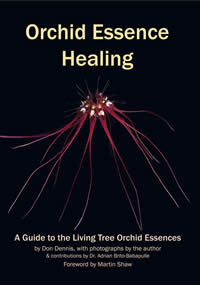 [Image: Orchid Essence Healing: A Guide to the Living Tree Orchid Essences]