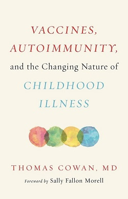 [Image: Vaccines, Autoimmunity and the Changing Nature of Childhood Illnesses]