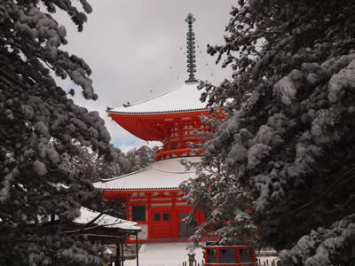 Konpon-Daitou - just one of the impressive pagodas in Koyasan