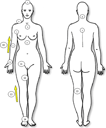 Lymphatic Body Diagram Legend