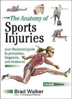 Anatomy of Sports Injuries 2nd Edition Cover