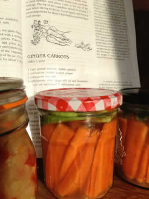 Fermented Ginger Carrot Sticks