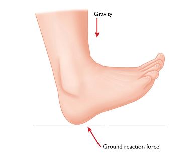 Hi Res Fig 2 Foot and Ground Reaction