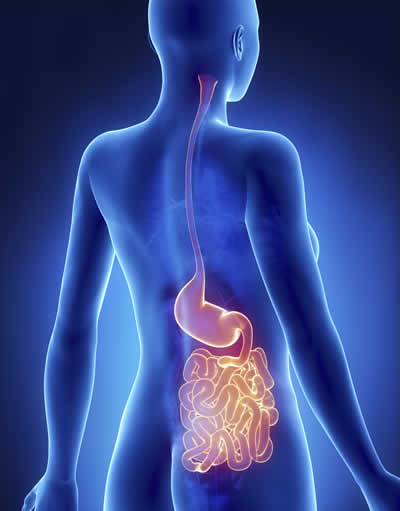 Holistic Approaches to Common Gastrointestinal Problems