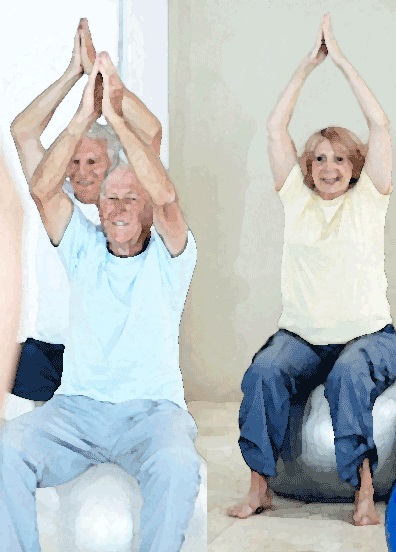Exercise for the Elderly