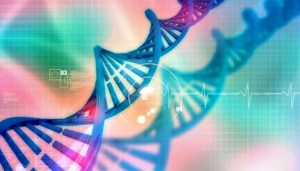 DNA for Homeovitality