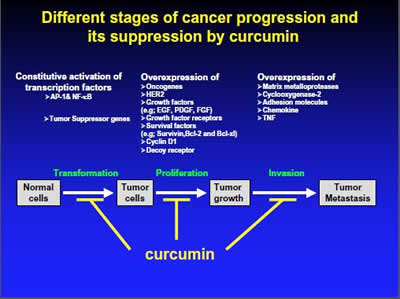 Cancer Suppression by Curcumin