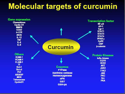 Molecular Targets of Curcumin