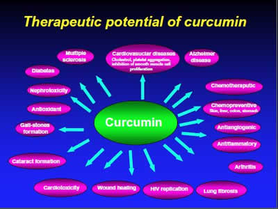 Therapeutic Potential of Curcumin