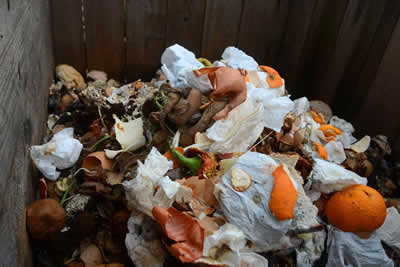 Food Waste Garbage