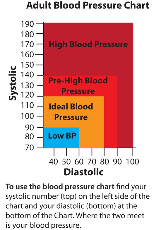 Ferlow 228 Blood Pressure Chart