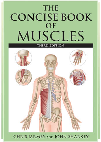 The Concise Book of Muscles Third Edition