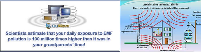 EMF Pollution Healing With Scalar Wave Technology from QuWave