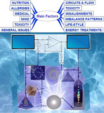 The Kinesiometer for Bio-Resonance