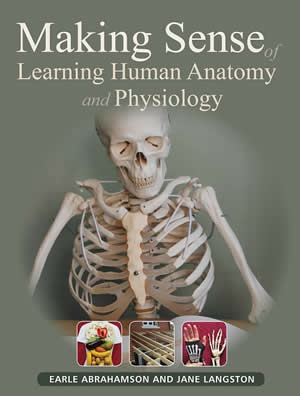 Making Sense of Learning Human Anatomy