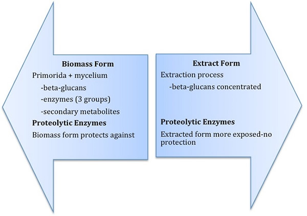 Diagram 2: Biomass and Extract form