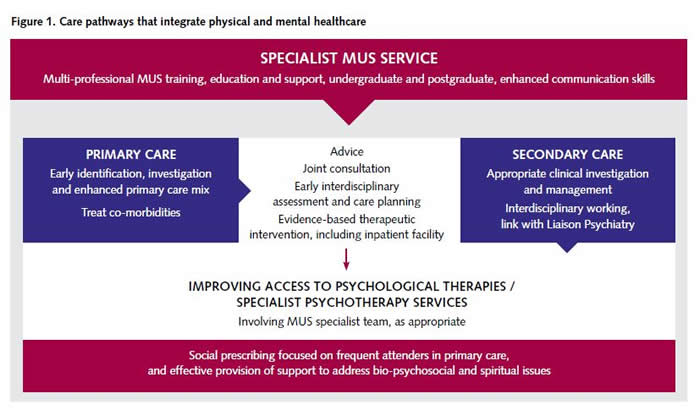 Figure 1 - Care Pathways that Integrate Physical and Mental Healthcare