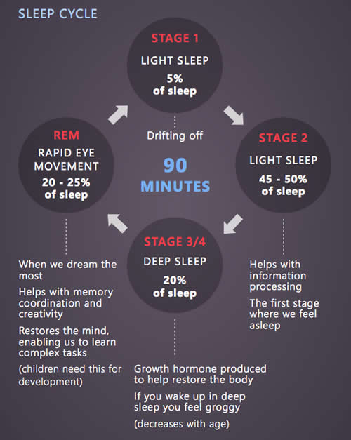 Sleep Cycle Background Info.