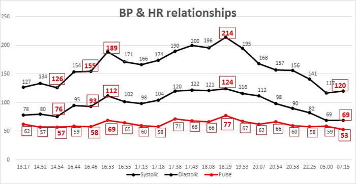 BP & HR relationships