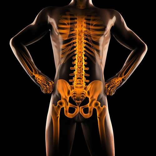 Weightlifting Injury Prevention 5 Lumbar Spine