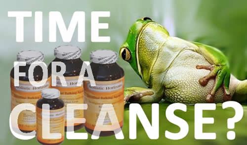 Robert Gray - A Cleanse to Fit the Modern Lifestyle!