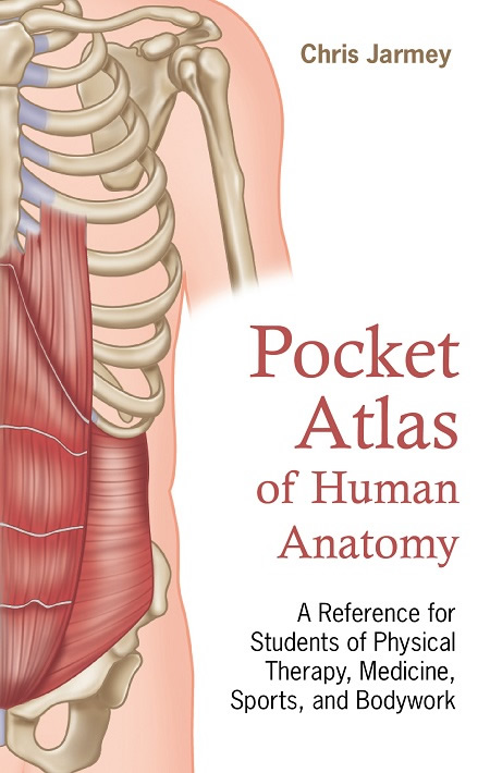 Cover Pocket Atlas of Human Anatomy