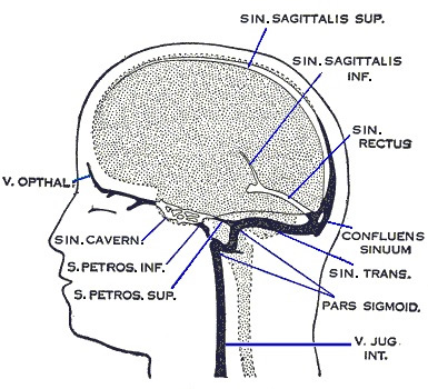 Showing the Sinus Rectus location of the Sutherland Fulcrum