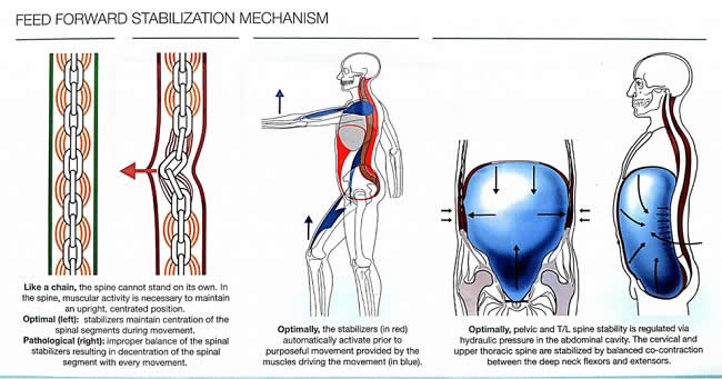 Feed-Forward-Stabilization-Mechanism-Exercises-that-cause-back-pain