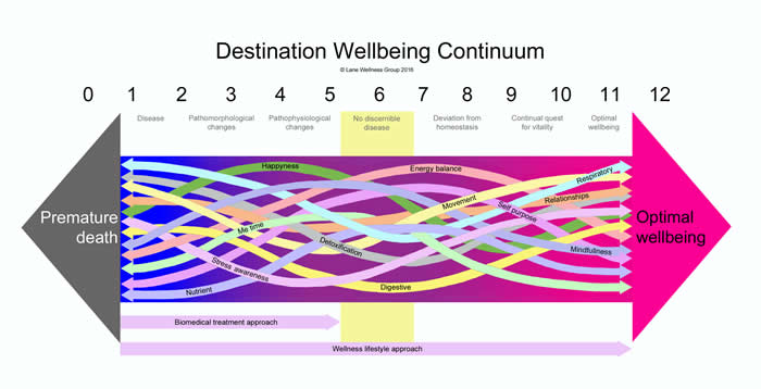 Destination Wellbeing Continuum (Arrows) Version 0 - 12