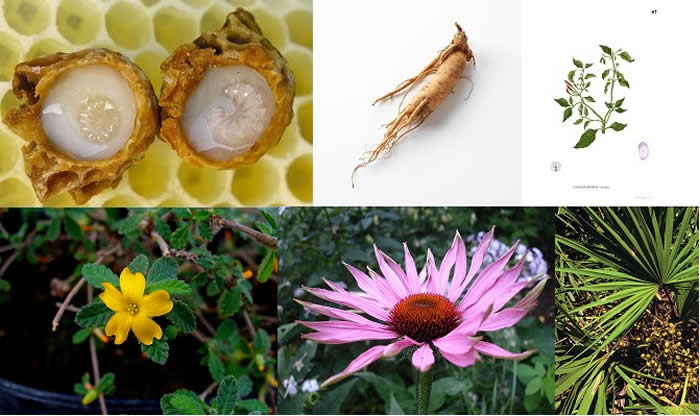 Composite Royal Jelly, Ginseng, Capsicum, Damiana, Echinacea, Saw Palmetto