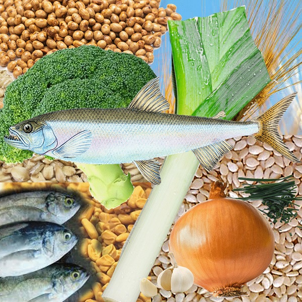 Webber 260 Foods Rich in Natural Phytoestrogens