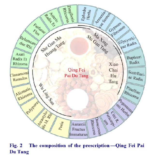 Composition of the Prescription Qing Fei Pai Du Tang