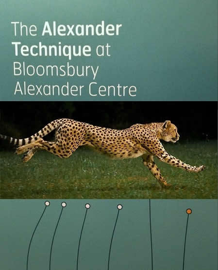 Bloomsbury Thumbnail and Leopard