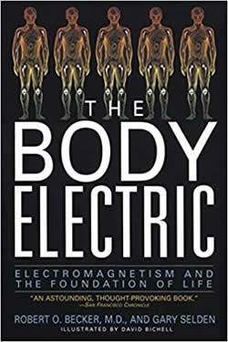 Cover The Body Electric Amazon