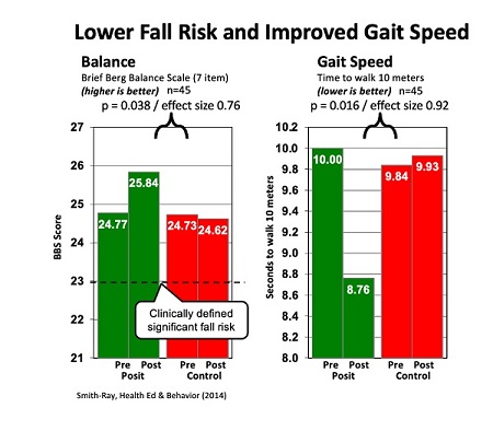 Fall Risk and Gait Speed