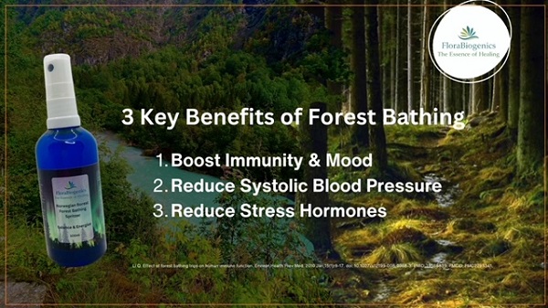 Forest Bathing Eco-Therapy