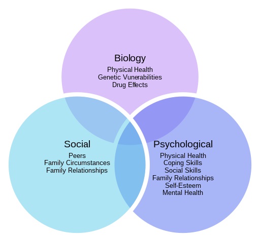The Biopsychosocial Model of Health