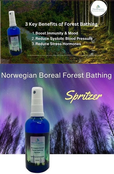 3 Key Benefits of Forest Bathing + Norwegian Boreal Forest Bathing Spritzer