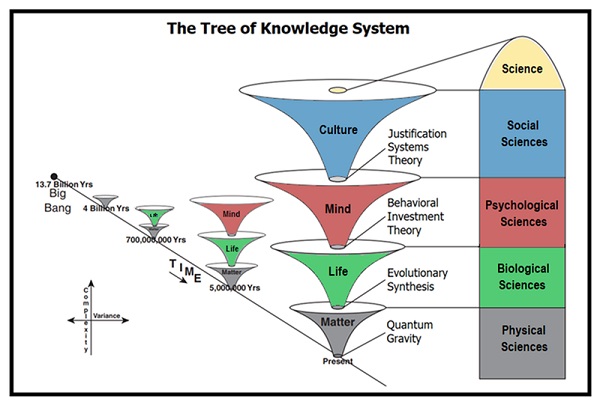Tree_of_Knowledge_System
